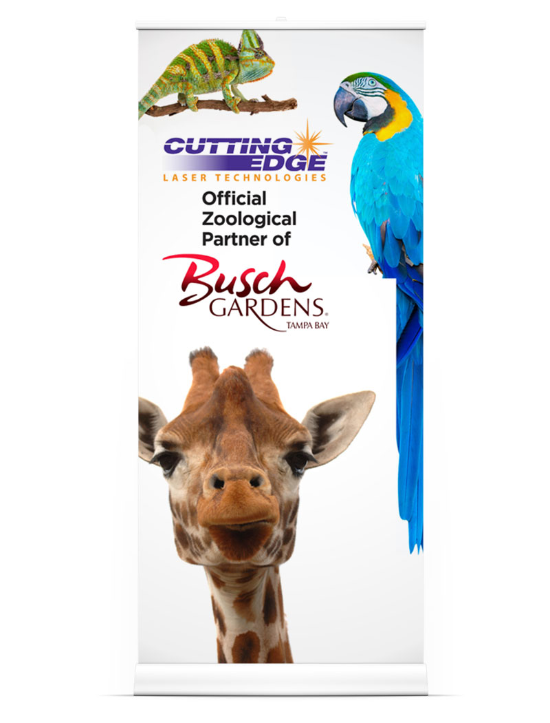 A giraffe and parrot are standing next to each other.