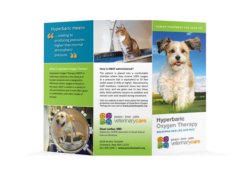 A tri fold brochure with a picture of a dog.